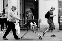 Photo by Siniša Bužan. Zagreb,  30. lipnja 2018.